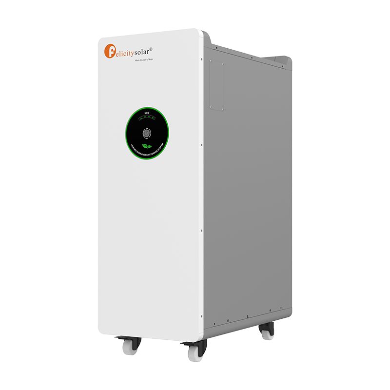 Felicitysolar FLA48300